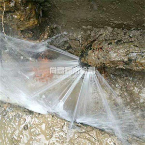 杨市办事处消防管道漏水检测